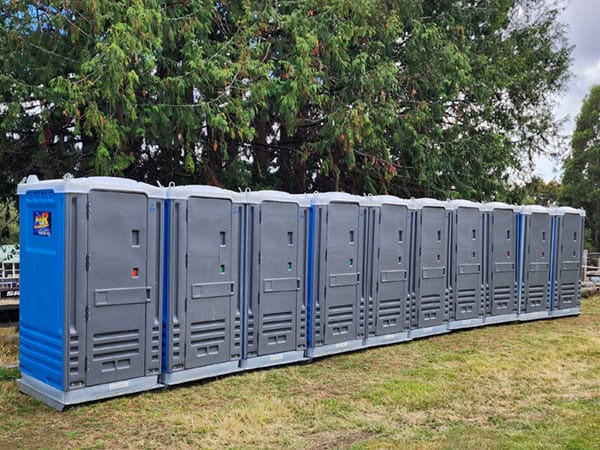 Row of portable loos